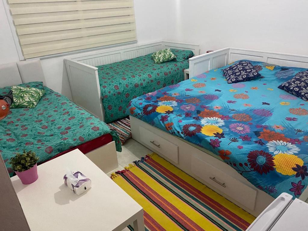 Jordan Guest House 와디무사 외부 사진