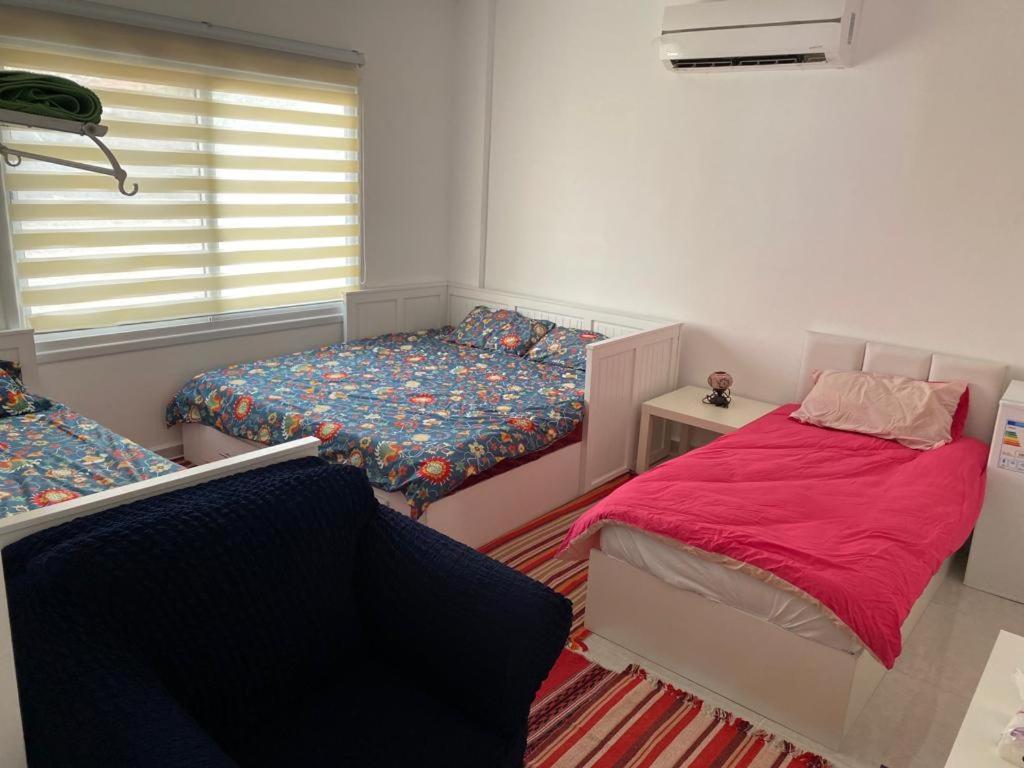 Jordan Guest House 와디무사 외부 사진