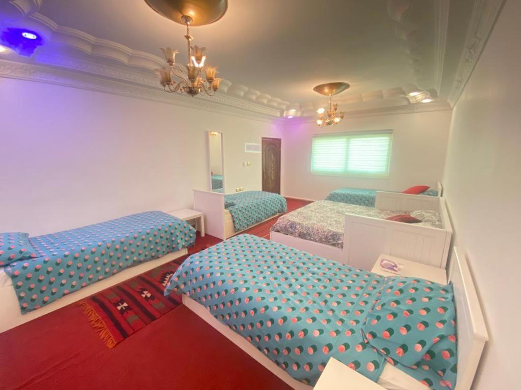 Jordan Guest House 와디무사 외부 사진